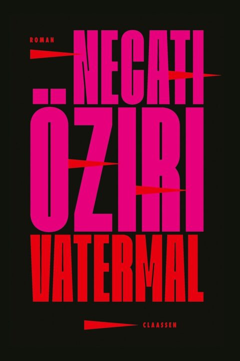 Buchcover von Necati Öziris Roman ,,Vatermal''